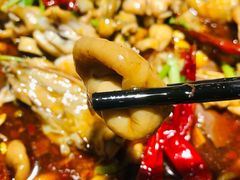 肥肠砂锅（牛蛙需另加）-马头巷·隐庐居·红油大虾(园区店)