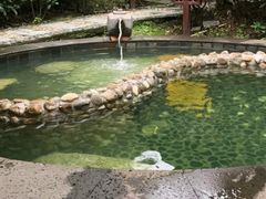 -咸宁太乙国际温泉度假村