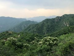 -大岭沟猕猴桃谷风景区