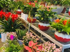 -双季花艺园艺市场(浦东店)