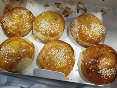 老婆饼-皇冠幸福里动物奶油生日蛋糕(宗关地铁店)