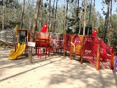 -合肥滨湖国家森林公园