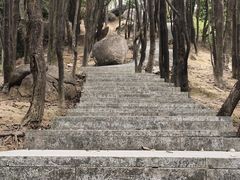-火炉山森林公园