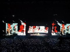 -南京奥林匹克体育中心-体育馆