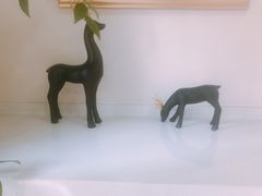 -精德口腔·种植修复·儿牙中心(财富中心店)