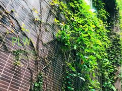 -香港大学