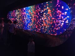 -成都浩海立方海洋公园