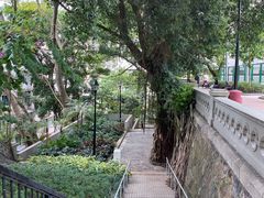 -香港佐治五世纪念公园