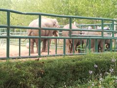 -秦皇岛野生动物园