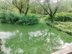 -上海汽车博物馆