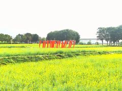 -光明小镇欢乐田园