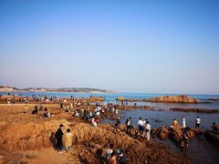 -青岛第二海水浴场