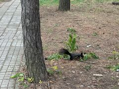-北陵公园