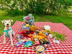 -长白岛森林公园