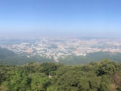 -紫金山山顶公园
