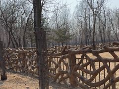 -秦皇岛野生动物园
