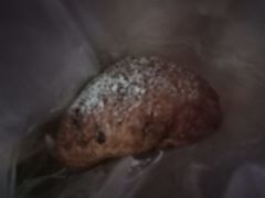 -BreadTalk面包新语(龙之梦购物中心莘庄店)