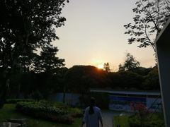 -四海公园(南山区)