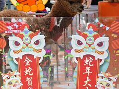 -越秀西湖花市(广州城市广场花卉店)