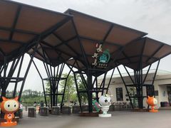 -上海长兴岛郊野公园