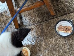 -老陈婆手工面庄