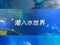 -太奥幻太奇海洋馆