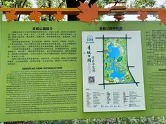-青枫公园