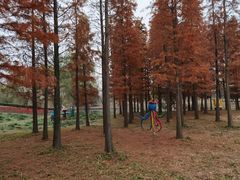 -梁鸿国家湿地公园