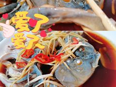 -煲来饱去冷水鱼