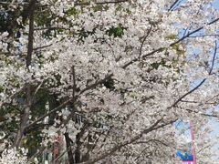 -石湖景区