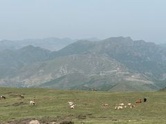 -灵山