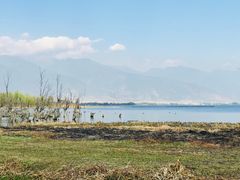 -大理洱海