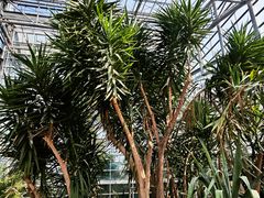 -南山植物园