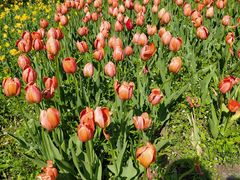 -长春公园(普阳街道)