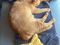 -MASTER FIT 拉伸大师·筋膜刀·西式按摩(上梅林卓悦汇店)