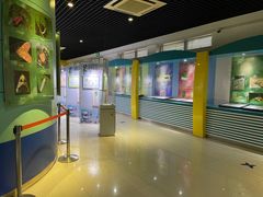 -上海昆虫博物馆