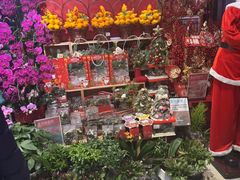 -盒马鲜生(大成店)