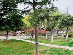 -太子山公园(园东路)