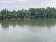 -东湖落雁景区