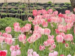 -浙江农林大学(东湖校区)