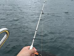 -深圳海钓·深圳钓鱼·拓展聚会鱼排