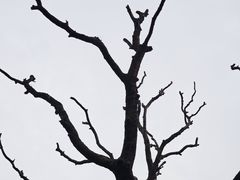 -人民公园(罗湖区)