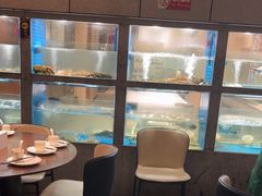 -码头鲜精致威海菜(欧乐坊店)