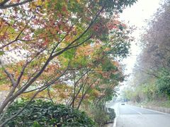 -南京市江宁方山