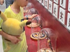 -青岛贝壳博物馆
