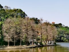 -深圳仙湖植物园