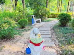 -贡湖湾湿地公园