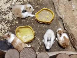 -宝燕乐园(闵行旗舰店)