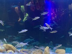 -味界·精致赣菜(招商花园城店)