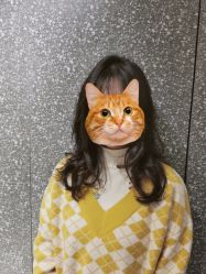 -付军剪艺